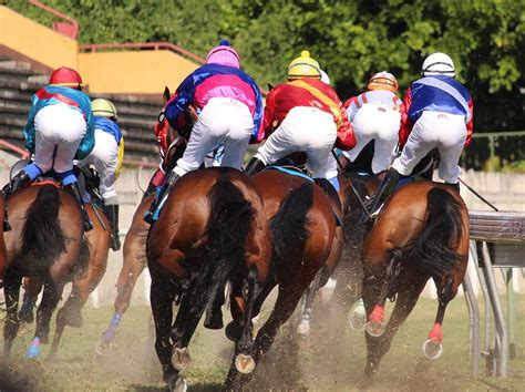 horse racing events 2023.